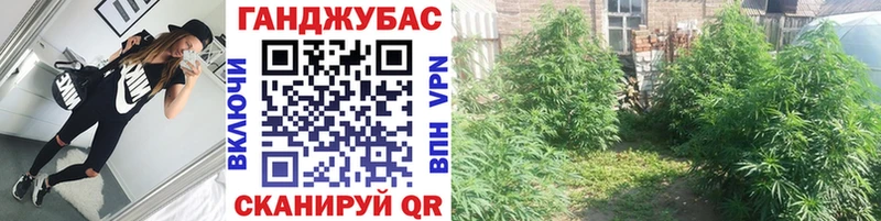 Бошки марихуана Ganja  mega ссылка  Нефтегорск 